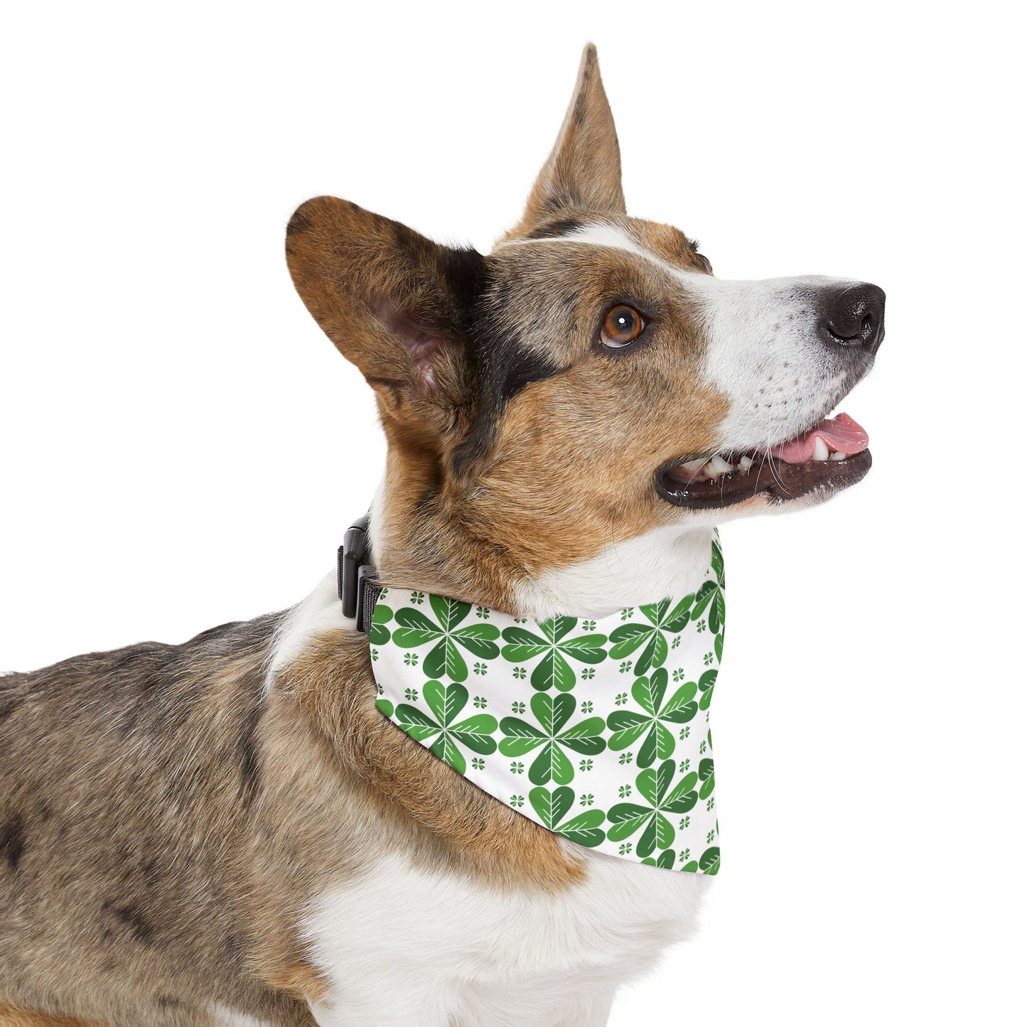 Lucky Clover Bandana Collar 🍀